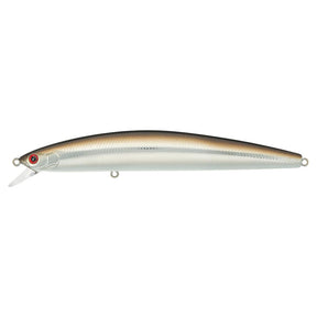 Sand Eel