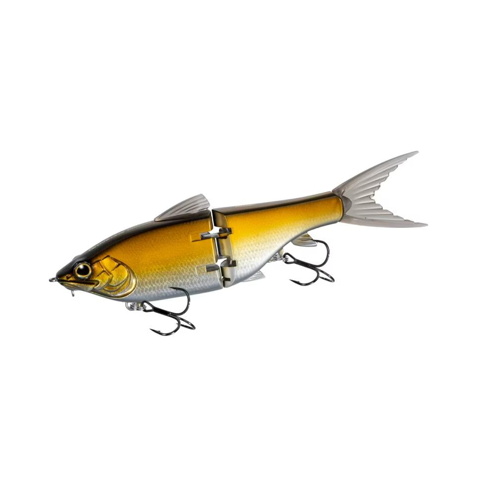 n Golden Shiner