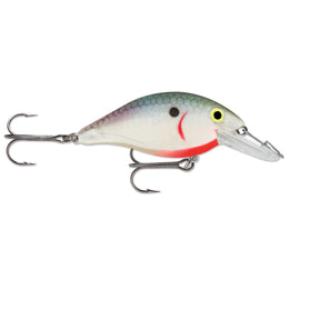 Crystal Tennessee Shad