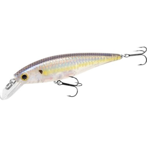 MSGH Chartreuse Shad