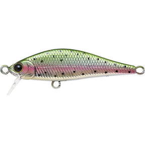Laser Rainbow Trout