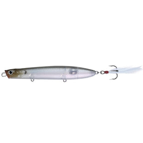 Ghost Minnow
