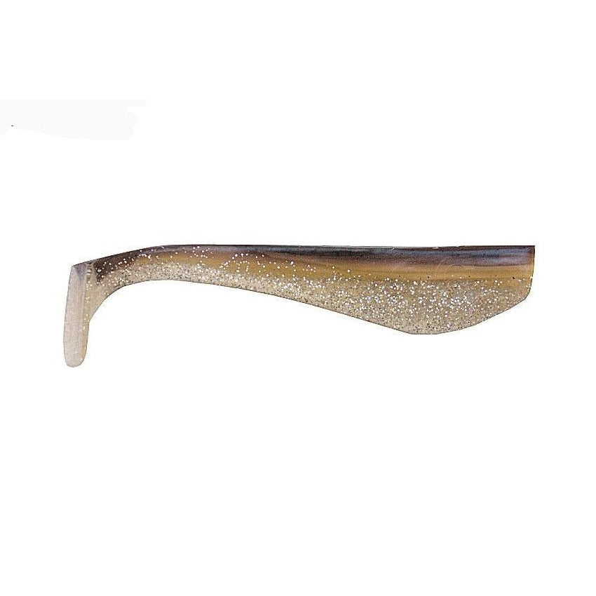 Sardine