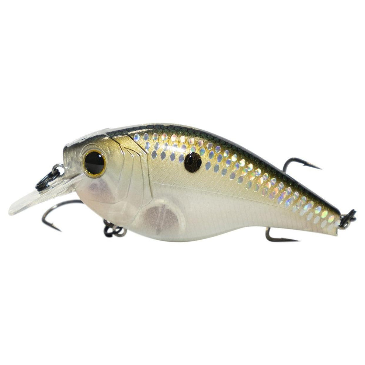 ghost shad
