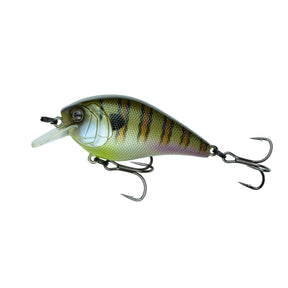 Bluegill Magic