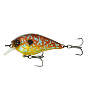 Pumpkinseed Sunfish