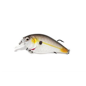 shad fantasy