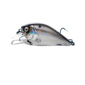 Shad Burst