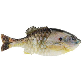 Sunfish