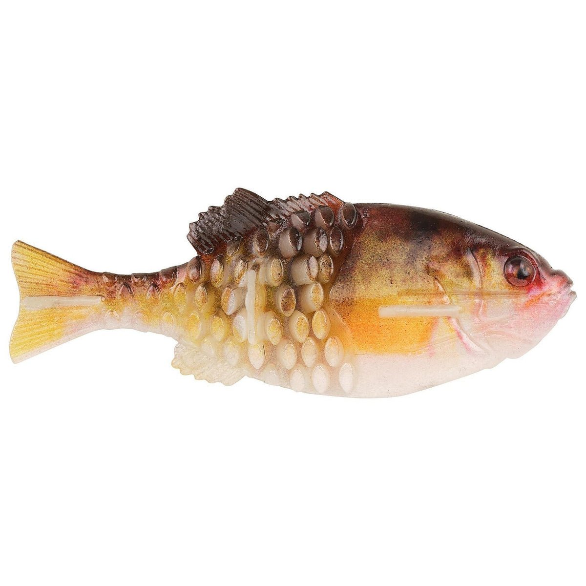 Yellow Perch