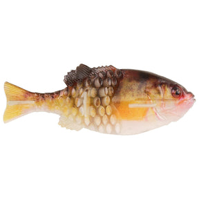 Yellow Perch