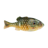 HD Pumpkinseed