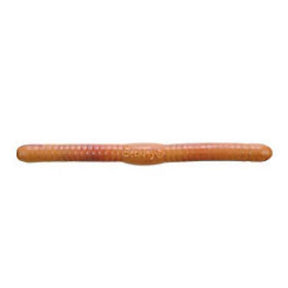Trout Worm Nightcrawler