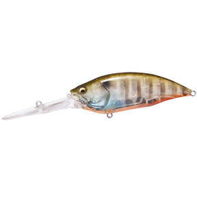 Biwako Clear Gill