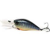 C100X-_Backwater_Bluegill