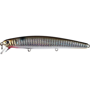 Anchovy Venus