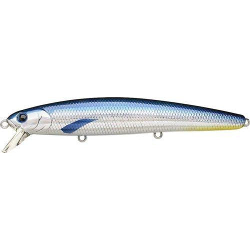 Blue Fin Tuna