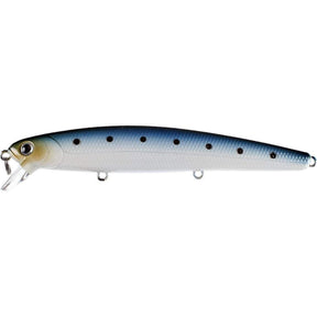 Super Glow Sardine