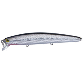 Super Glow MS Anchovy
