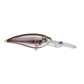 DD Minnow