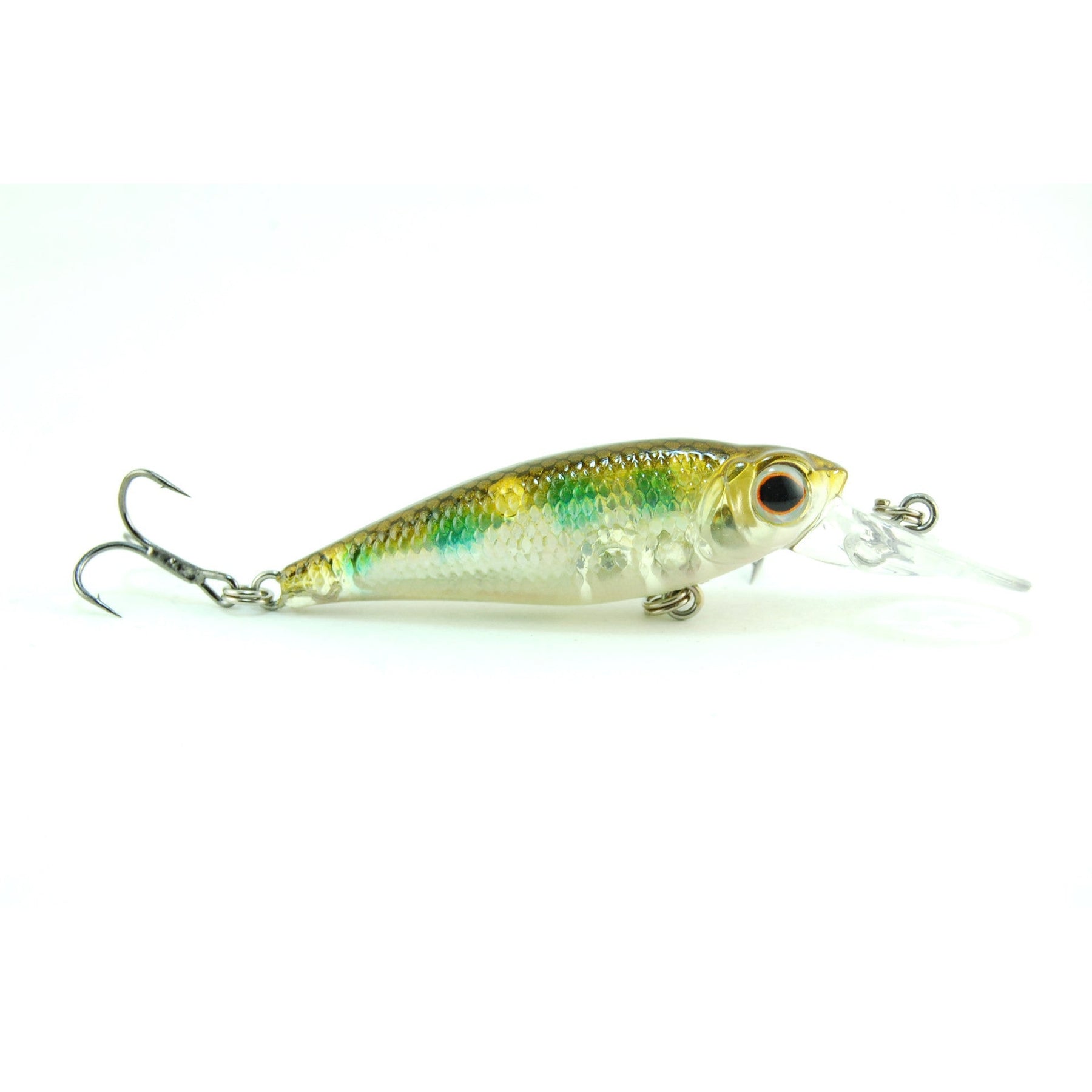 (Size 50) Brown Trout