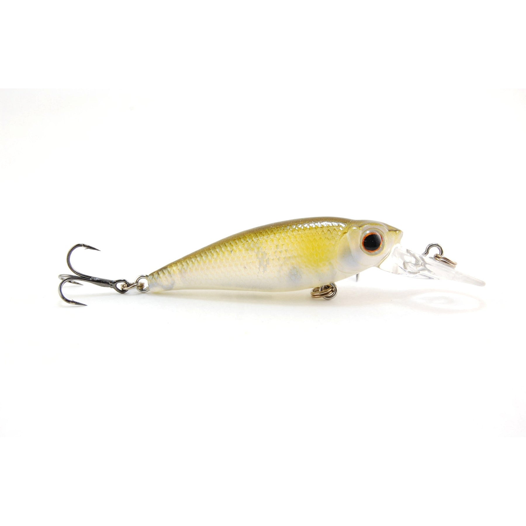 (Size 50) Shiner