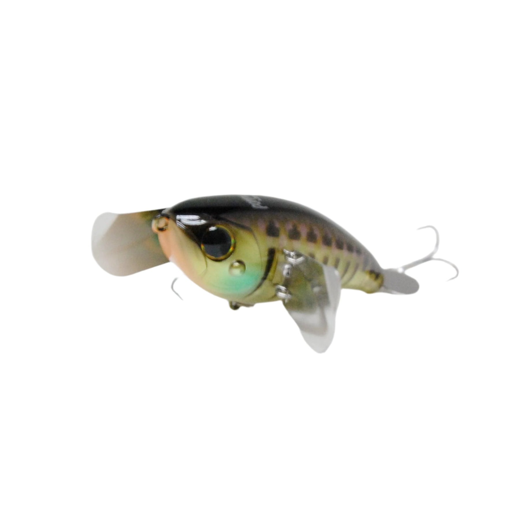 Jackall Pompadour  Susquehanna Fishing Tackle