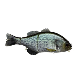 RT Crappie