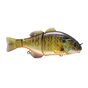 RT Bluegill