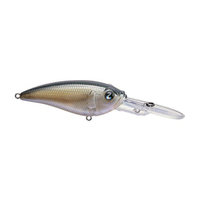 Glass Minnow