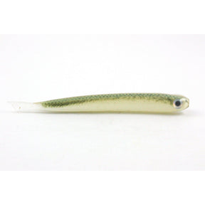 Gold Shiner