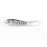 Baby Bass