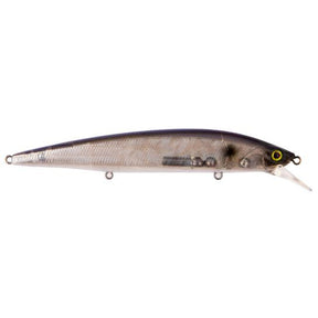 Blue Pearl Shad