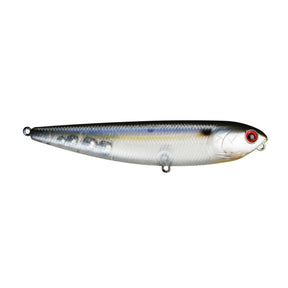 Ghost Threadfin Shad