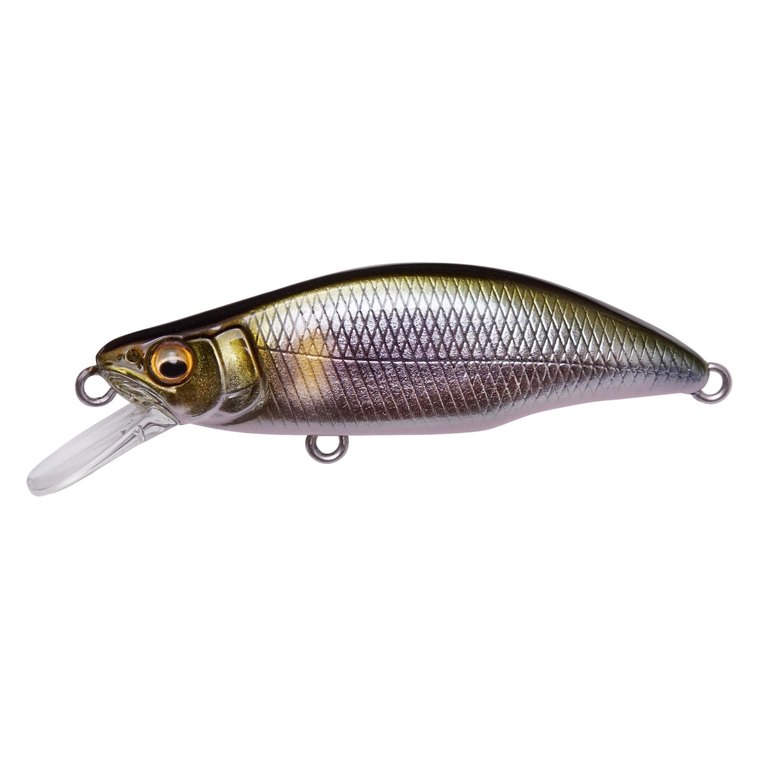 MBGHHumpback-