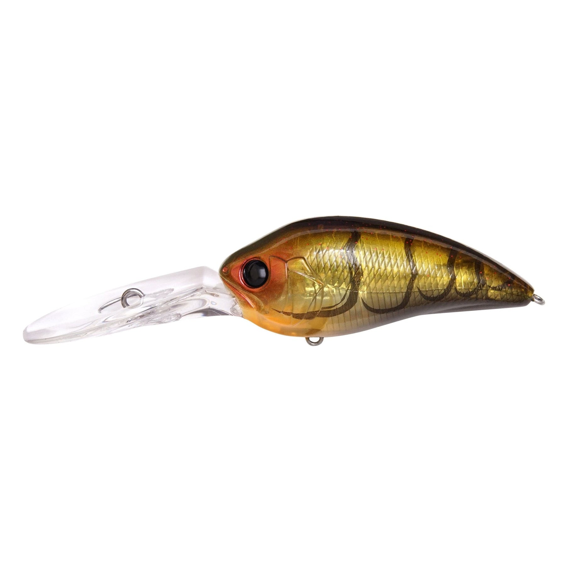 GP Skeleton Craw