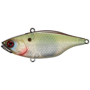 Muddy Shad