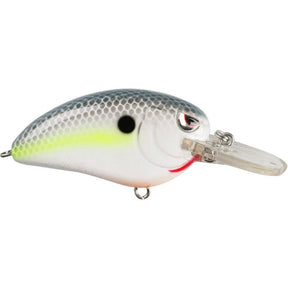 Nasty Shad