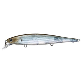 Ghost Minnow