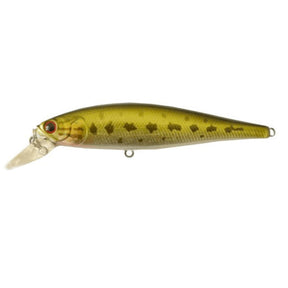 Largemouth Bass