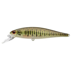 Smallmouth Bass