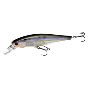 Threadfin Shad