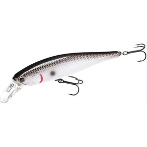 Tennessee Shad