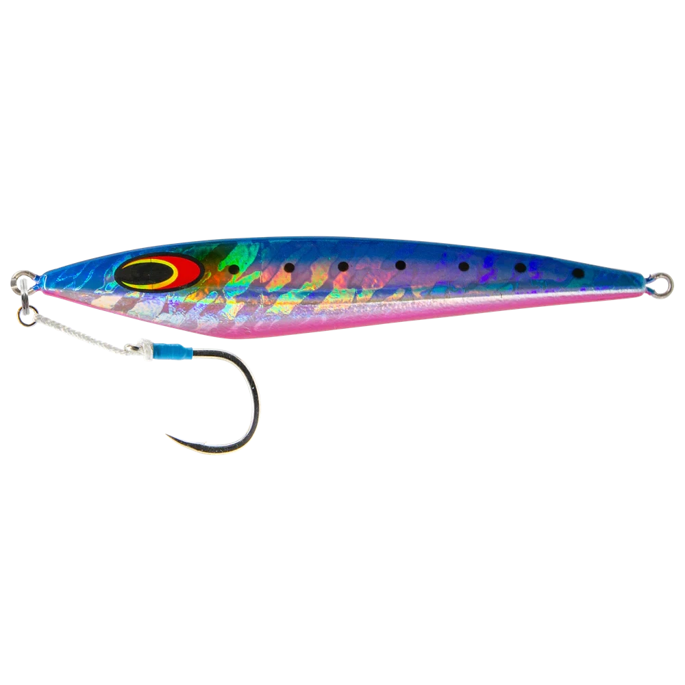 Sardine