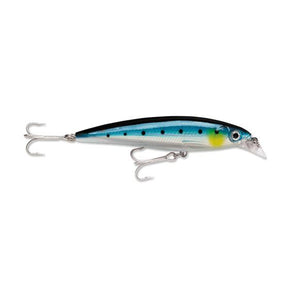 Blue Sardine