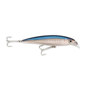 Spotted Minnow