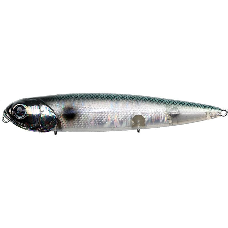abalone shad