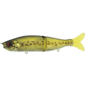 baby bass