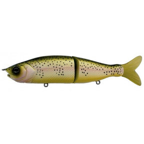  Lite Trout