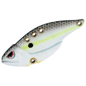 Nasty Shad
